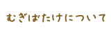 むぎばたけについて